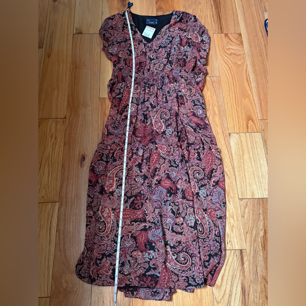 JUST TAYLOR Women’s Long Sleeve Maxi Fit Flare Paisley Boho Lined Size L NWT - Picture 13 of 14
